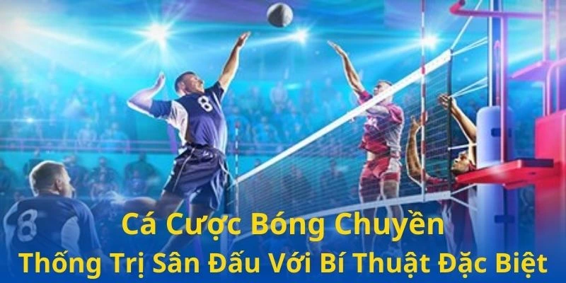 cá cược bóng chuyền